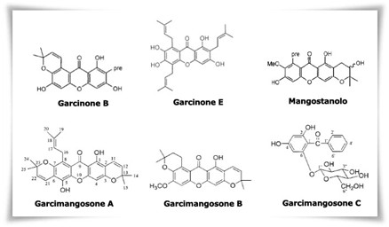 Xantoni: i più potenti antiossidanti in natura?